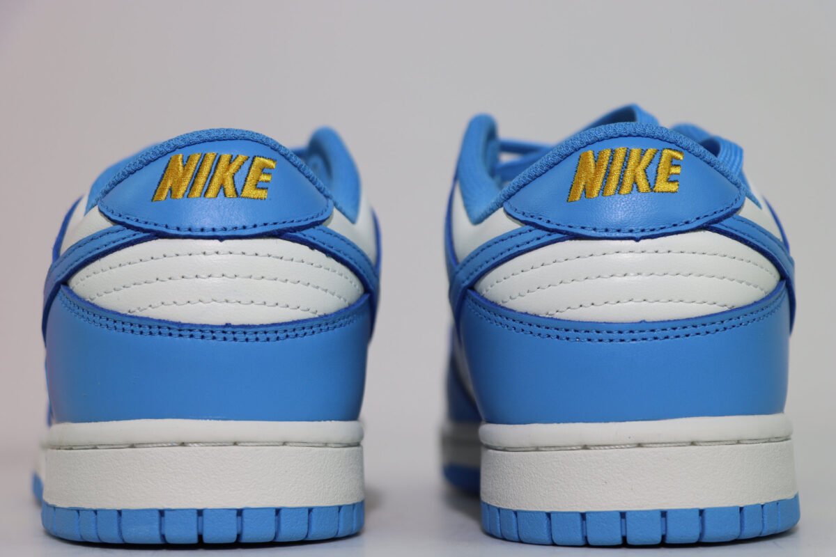 Dunk Low Coast 6